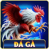 đá gà qh88