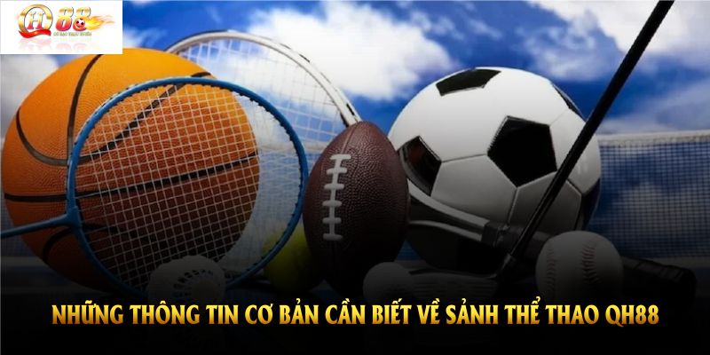 Tổng hợp những thông tin cơ bản cần biết về sảnh thể thao QH88