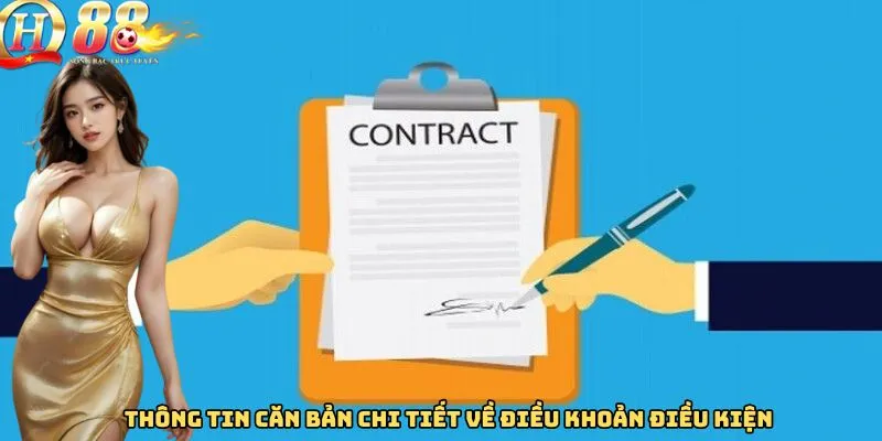 Thông tin căn bản chi tiết về điều khoản điều kiện